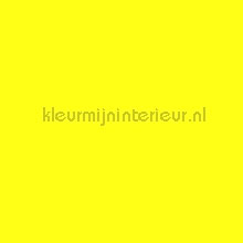 Plakfolie fluor geel Patifix Basic-uni-kleuren