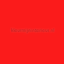 fluor oranje-rood feuille autocollante 16-7105 couleurs unies Patifix