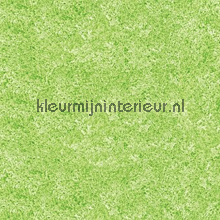Groen gemeleerd lamina adhesiva DC-Fix DC-fix collectie 200-2704