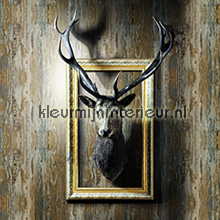 Rustiek plekfollie DC-Fix _intrieur 