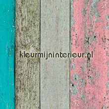 Ruw hout vrolijk gekleurd plakfolie Patifix Basic-motieven