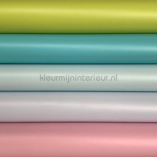 knutselpakket pastel feuille autocollante foilkit