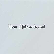 Melkwit plakfolie Gekkofix statische raamfolie 