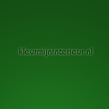 Ral 6029 Bottle green pelicula autoadesiva Macal Todas-as-imagens