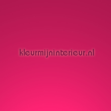 Ral 4010 Cyclamen pelicula autoadesiva Macal Todas-as-imagens