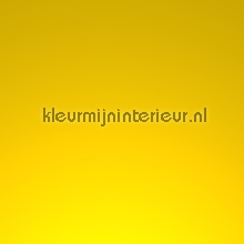Ral 1023 medium yellow pelicula autoadesiva Macal Todas-as-imagens