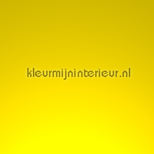 Ral 1021 yellow pelicula autoadesiva Macal Todas-as-imagens