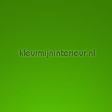 Ral 6018 Sping green lamina adhesiva Macal premium metals 