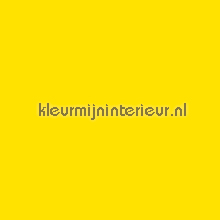 Ral 1016 Lemon Yellow pelicula autoadesiva Macal Todas-as-imagens