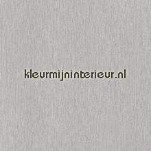 Geborsteld RVS lamina adhesiva DC-Fix premium metals 