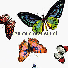 Butterfly Lilith Transparant tafelzeil DC-fix collectie