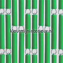 Groen vliegengordijnen kunststof huls uni 