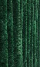 Kattenstaart groen cortinas antimoscas todas as imagens 